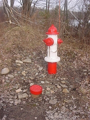 2006-01-28 _16_